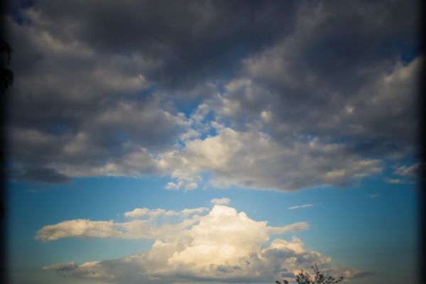 p514002849B1F015-9576-4DDB-1636-D596BE7717C7.jpg